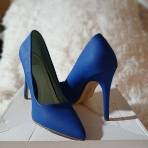Delicious Royal Blue Stiletto Heels